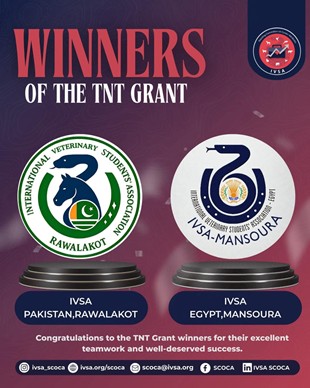 TNT Grant